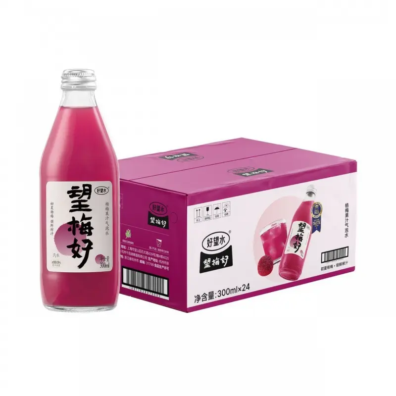 【整箱】好望水 望梅好杨梅气泡水 300ml*24瓶/箱