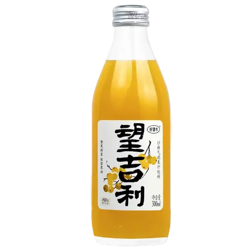 好望水望吉利沙棘气泡水300ML/瓶