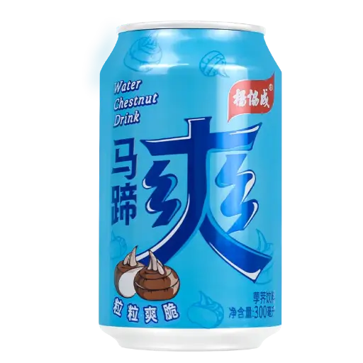 杨协成马蹄爽饮料300ml